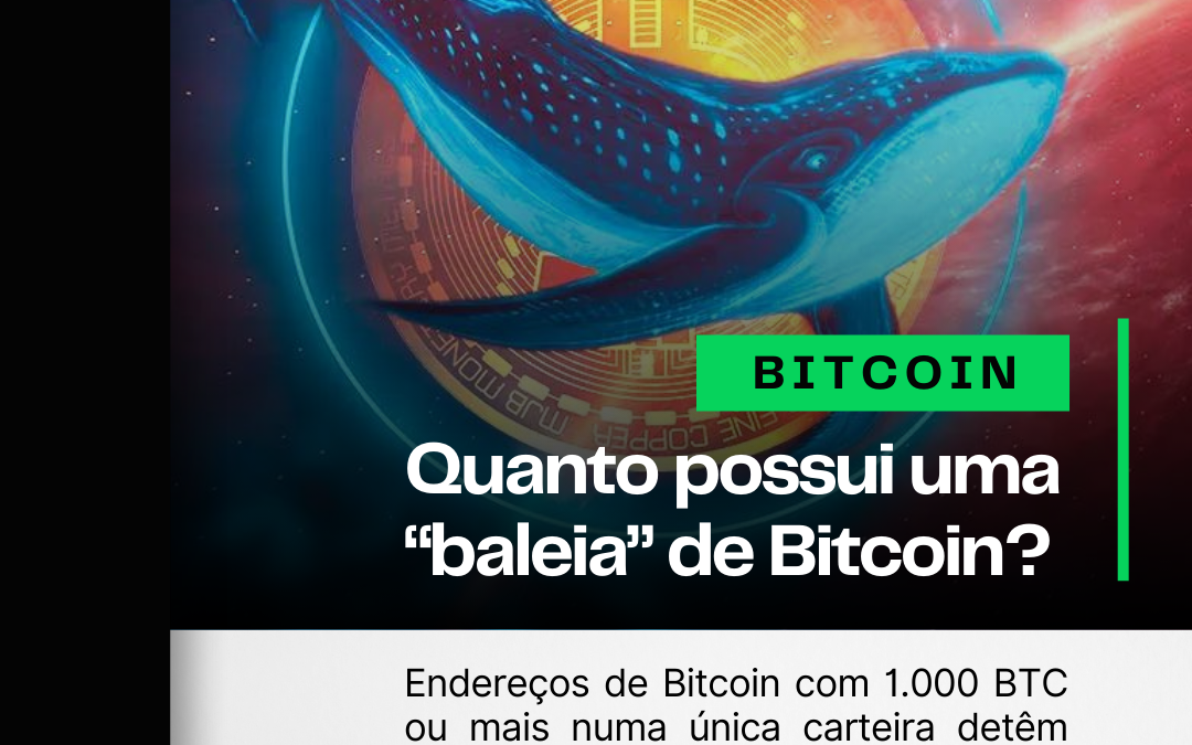 Quantos Bitcoins você precisa possuir para ser considerado uma “baleia”?